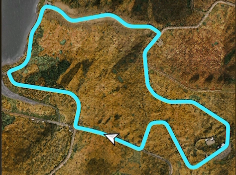 Bamboo Forest Scramble track layout
